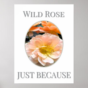 Póster Flor silvestre en flor