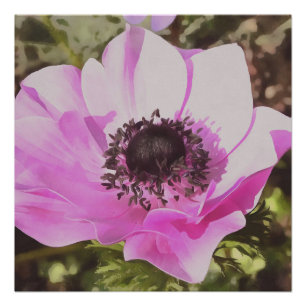 Póster Flor silvestre rosa anémona pastel artificial