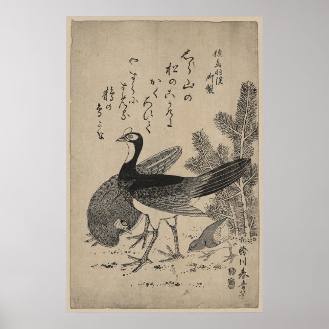 Póster Flor silvestre y pino (Frente)