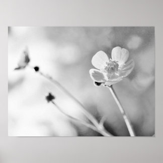 Póster Flor simple en blanco y negro