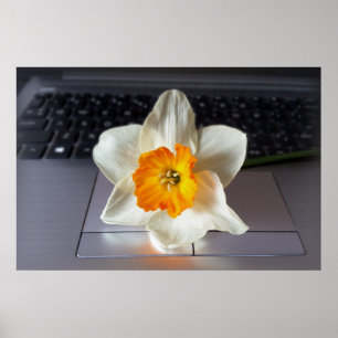 Póster Flor sobre el teclado