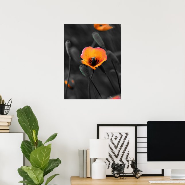 Póster Flor solitaria en monocromo (Oficina en casa)