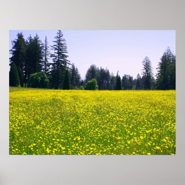 Póster Flor total (Frente)