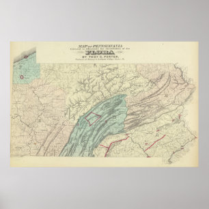 Póster Flora de Penn