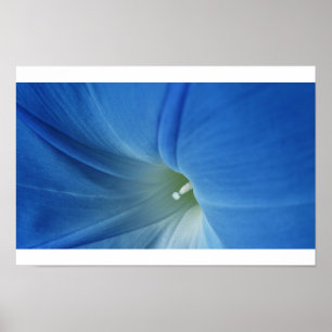 Póster Floración de la mañana