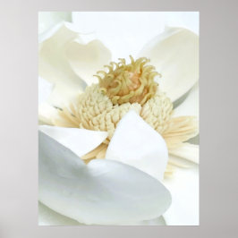 Póster Floración de magnolia