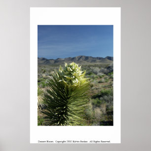 Póster Floración del postre