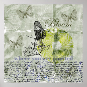 Póster Floración inspirada de la mariposa