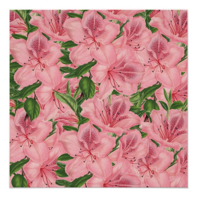 Poster floral (Anverso)