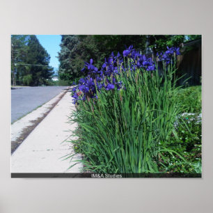 Póster Floral a lo largo del camino