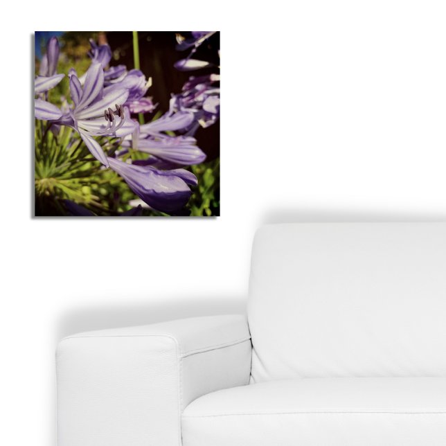 Póster Floral Agapanthus Violet Blossom (New Zealand Floral Agapanthus Violet Blossom Poster, Botanical Summer Bloom)