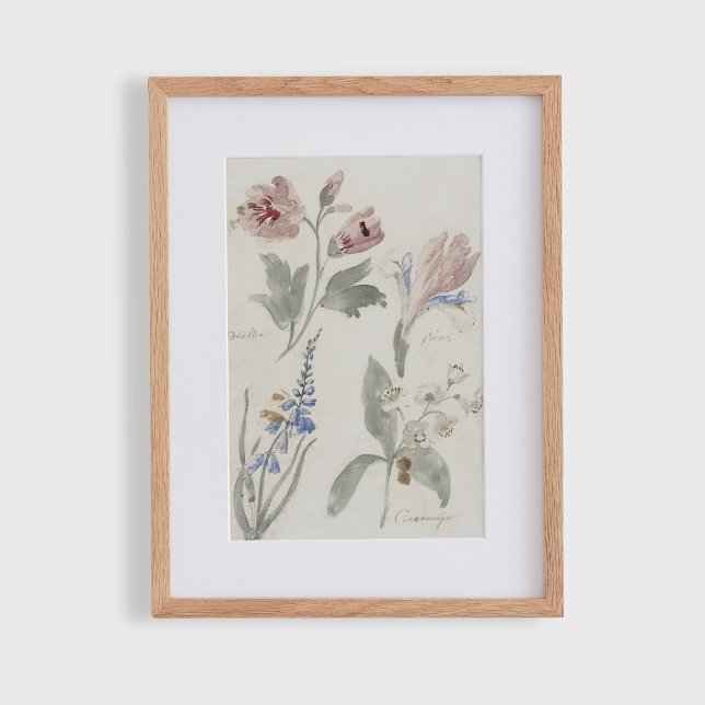 Póster Floral c, vivero vintage  (Subido por el creador)