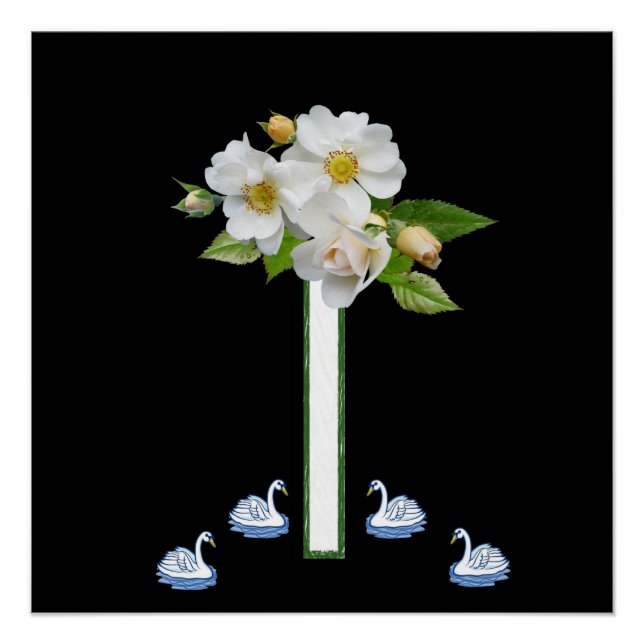 Poster floral Cisne blanco (Anverso)