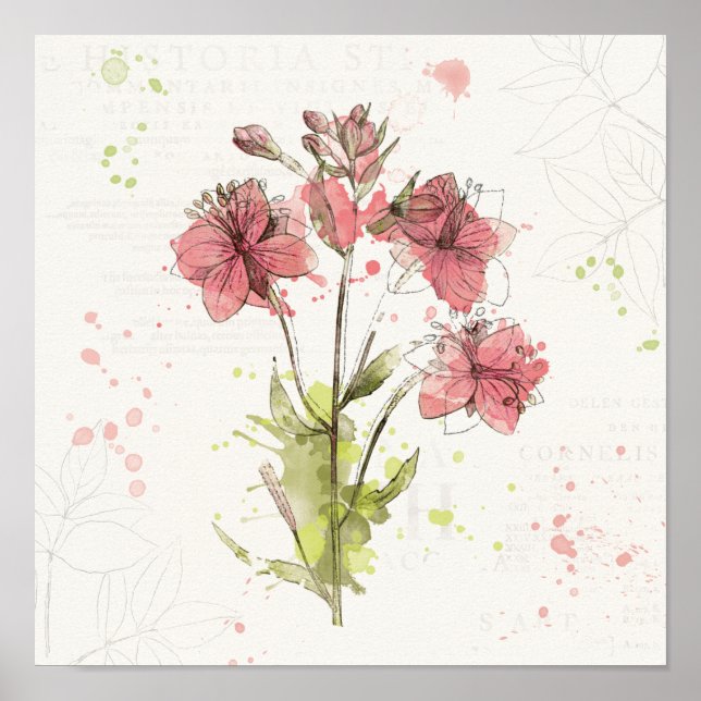 Póster Floral Dark Pink Splash (Frente)