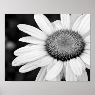 Póster floral de fotografía vibrante macro en blanco y ne