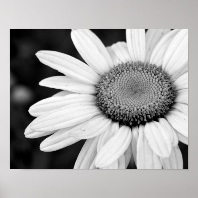 Póster floral de fotografía vibrante macro en blanco y ne (Frente)