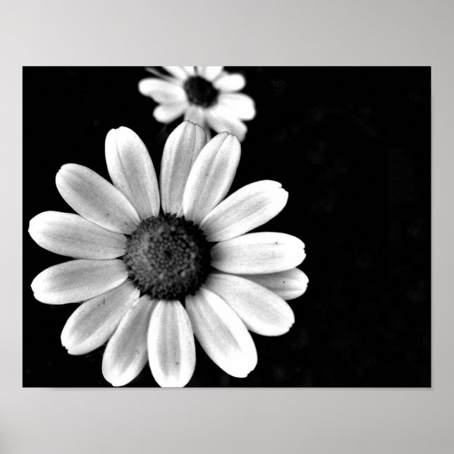 Póster floral de fotografía vibrante macro en blanco y ne (Frente)