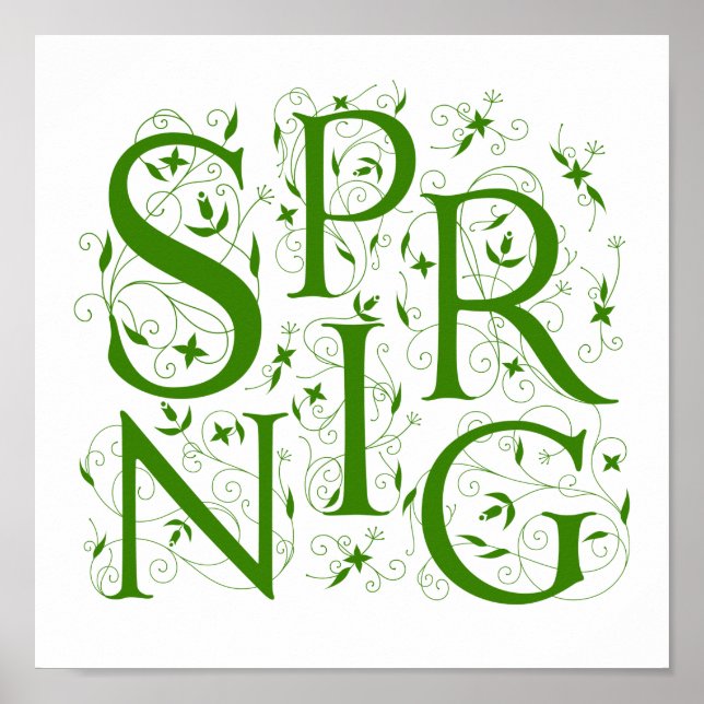 Póster Floral de primavera (Frente)