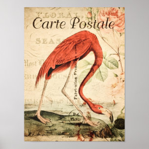 Póster floral francés de flamenco vintage