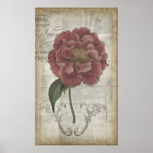 Póster Floral francesa III