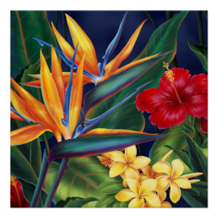 Póster Floral hawaiano del paraíso tropical