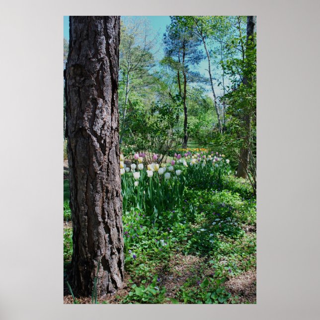 Póster Floral Poster - 1 (Frente)