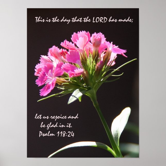 Póster Floral rosa con verso del salmo 118:24 (Frente)