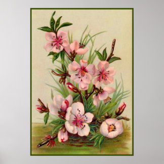 Póster Floral rosa vintage