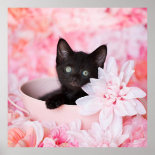 Póster Floral rosado del lazo