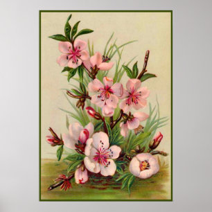Póster Floral rosado del vintage
