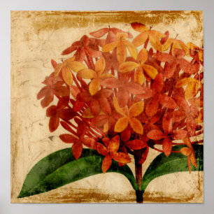 Póster Floral vibrante III