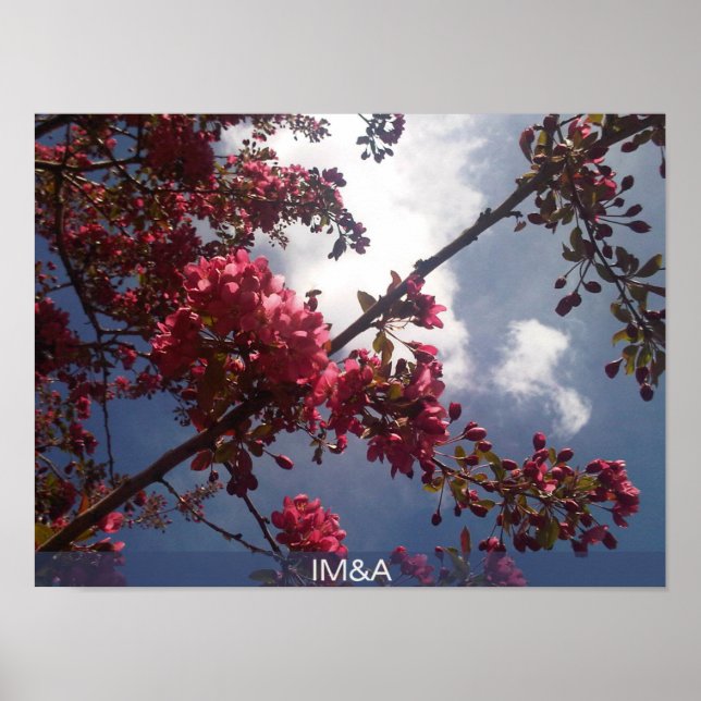 Póster Florales rojas 2 (Frente)