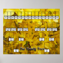 Floreciente foto de Forsythia Bush dos árboles fam