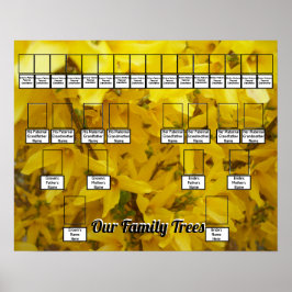 Póster Floreciente foto de Forsythia Bush dos árboles fam