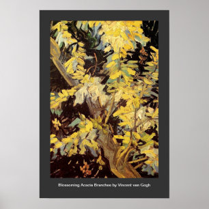 Póster Floreciente ramas de Acacia Vincent van Gogh.