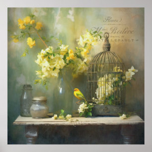 Póster Florecimiento amarillo de algodón francés