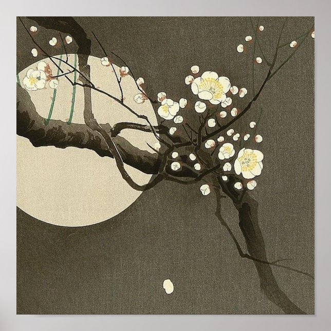 Póster Florecimiento de ciruelas de noche por Ohara Koson (Frente)