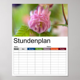 Póster Florecimiento de un calendario de Aquilegia