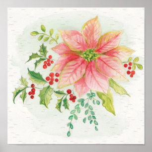 Póster Florecimiento del invierno   Poinsettia con aroma