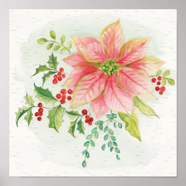 Póster Florecimiento del invierno | Poinsettia con aroma  (Frente)