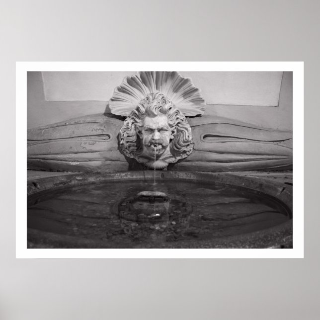 Póster Florence Drinking Fountain (Frente)