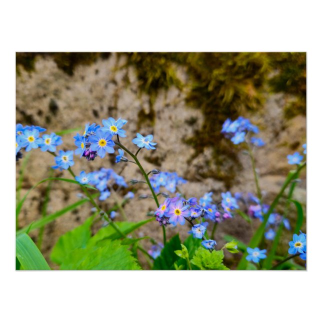 Póster Flores (Anverso)