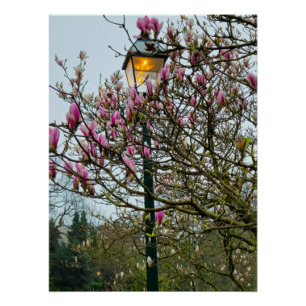 Póster Flores