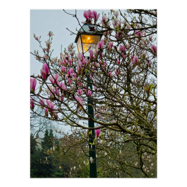 Póster Flores (Anverso)