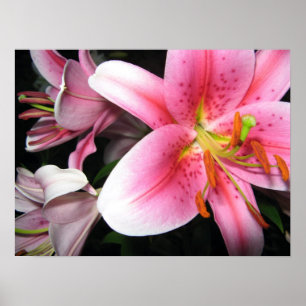 Póster Flores