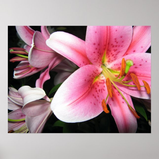 Póster Flores (Frente)