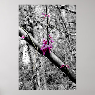 Póster Flores 2
