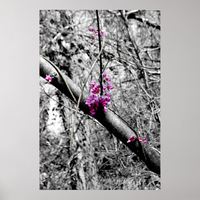 Póster Flores 2 (Frente)