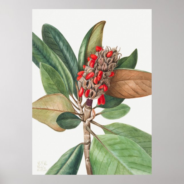 Póster Flores 2 (Frente)