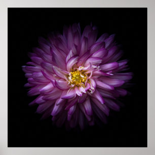 Póster Flores 20